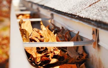 West Hills gutter cleaning companies