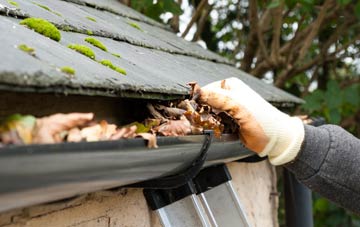 gutter cleaning West Hills, Angus